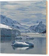 Antarctica Paradise Harbour #5 Wood Print