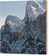 Yosemite National Park #5 Wood Print