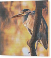 Grey Heron - Ardea Cinerea #10 Wood Print