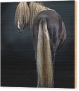 Portrait Of Icelandic Horse, Iceland #6 Wood Print