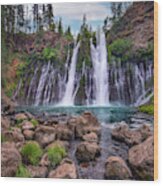 Waterfall, Mcarthur-burney Falls Memorial State Park, California #6 Wood Print