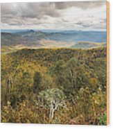 Blue Ridge And Smoky Mountains Changing Color In Fall #60 Wood Print