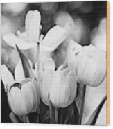Blooming Tulip Flowers Wood Print