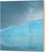 Antarctica #9 Wood Print