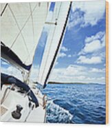 Sailing With Sailboat Wood Print