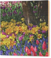 A Brush With Spring - Flower Art Wood Print