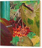 A Collage Of Fall Leaves And Berries Wood Print