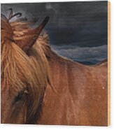 A Dun Coloured Icelandic Horse With A Wood Print