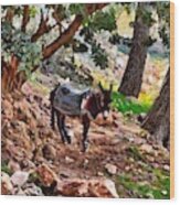 A Mule Stands On The Edge Of A Mountain Village In Morocco Wood Print