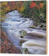 A River Runs Through Autumn Wood Print
