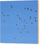 A Smattering Of Geese In Flight Wood Print