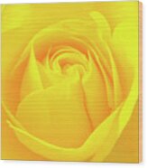A Yellow Rose For Joy And Happiness Wood Print