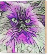 Abstract Purple Himmy Cat Wood Print