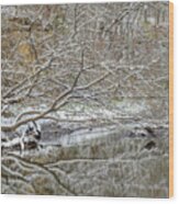 Abstract Snow Covered Trees Wood Print