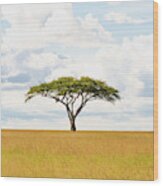 Green Tree Of Life - Serengeti 5100 - Safari Tanzania East Africa Wood Print