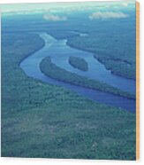 Aerial Shot Of The Amazon River Wood Print