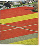 Aerial View Of Rows Of Yellow And Red Wood Print