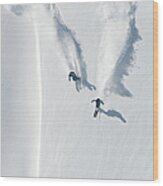 Aerial View Of Two Skiers Skiing Wood Print