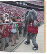 University of Alabama football game, Tuscaloosa, Alabama Weekender Tote Bag  by Carol Highsmith - Fine Art America