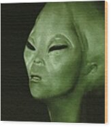 Alien Files Wood Print