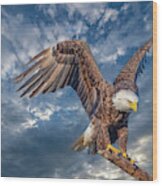 American Bald Eagle Incoming Two Wood Print