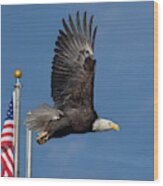 American Bald Eagle With Flag Wood Print