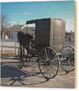 Amish Transportation Wood Print
