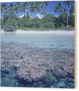 An Atoll In The Tuamotu Archipelago Wood Print