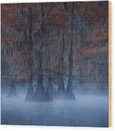 An Egret In The Mysterious Lake Wood Print