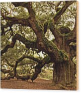 Ancient Angel Oak Near Charleston Wood Print
