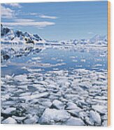 Antarctica, Paradise Bay, Bryde Island Wood Print