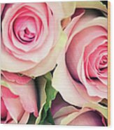 Antique Roses Full Frame Selective Focus Wood Print