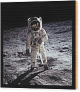 Apollo 11 Moon Triptych Wood Print