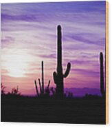 Arizona Desert Cactus Sagauro Winter Wood Print