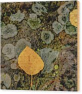 Aspen Leaves And Lichen Wood Print