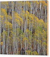 Aspen Tree Pattern Wood Print