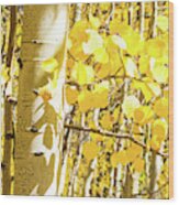 Aspen Yellow Wood Print