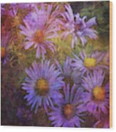 Aster Expression 5763 Idp_2 Wood Print