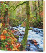 Autumn Along Bridal Veil Creek Columbia River Gorge Wood Print