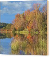 Autumn Along Lake, Tyler State Park, Texas Wood Print