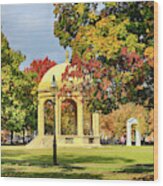 Autumn Arrives On Salem Common Wood Print