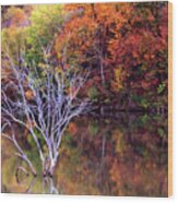 Autumn At Alum Creek Wood Print