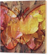 Autumn Butterfly Wood Print