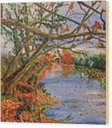 Autumn By The River Wood Print