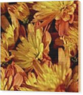 Autumn Chrysanthemums Wood Print