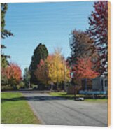 Autumn Color On Alder Street Wood Print