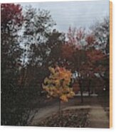 Autumn Colors In The Neighborhood Wood Print