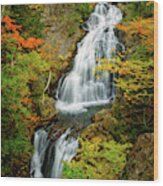Autumn Falls, Crystal Cascade Wood Print