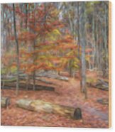 Autumn Hikinig Trail Wood Print