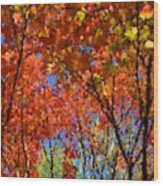 Autumn Impressions Wood Print